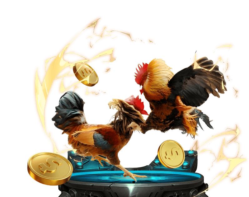 Đá gà trực tuyến nuw88 với các trận đấu kịch tính từ trường gà lớn