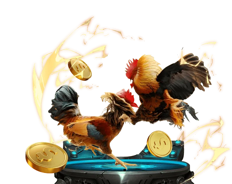 Đá gà trực tuyến nuw88 với các trận đấu kịch tính từ trường gà lớn